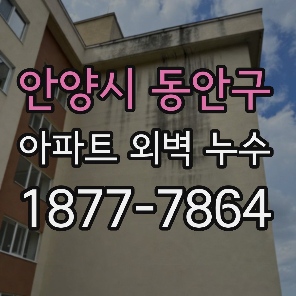 안양시 동안구 아파트 외벽 누수