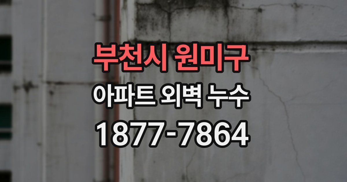 부천시 원미구 아파트 외벽 누수