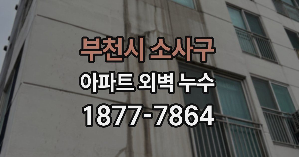 부천시 소사구 아파트 외벽 누수