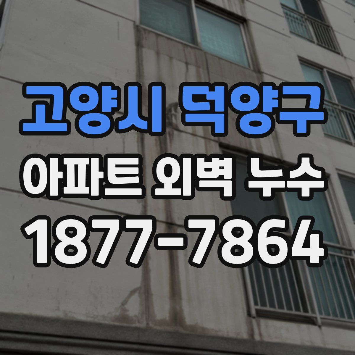 고양시 덕양구 아파트 외벽 누수