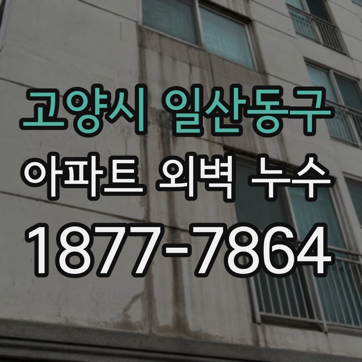고양시 일산동구 아파트 외벽 누수 보수 후 확인할 마감 상태