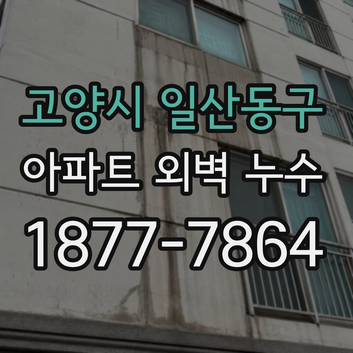 고양시 일산동구 아파트 외벽 누수