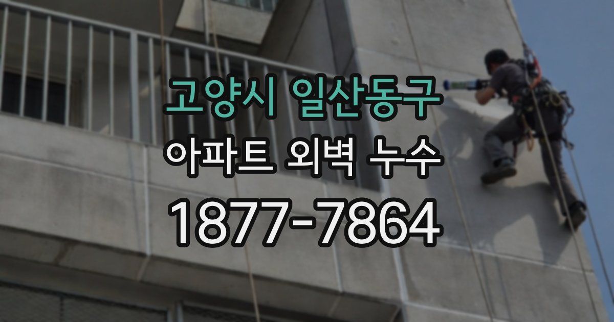 고양시 일산동구 아파트 외벽 누수