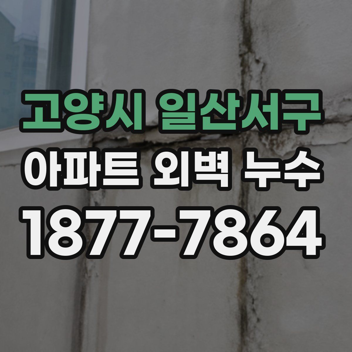 고양시 일산서구 아파트 외벽 누수