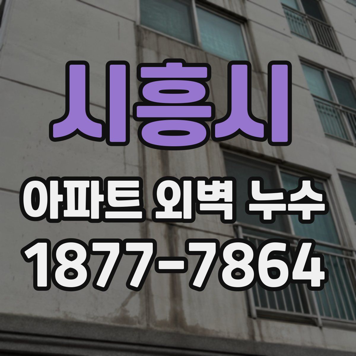 시흥시 아파트 외벽 누수