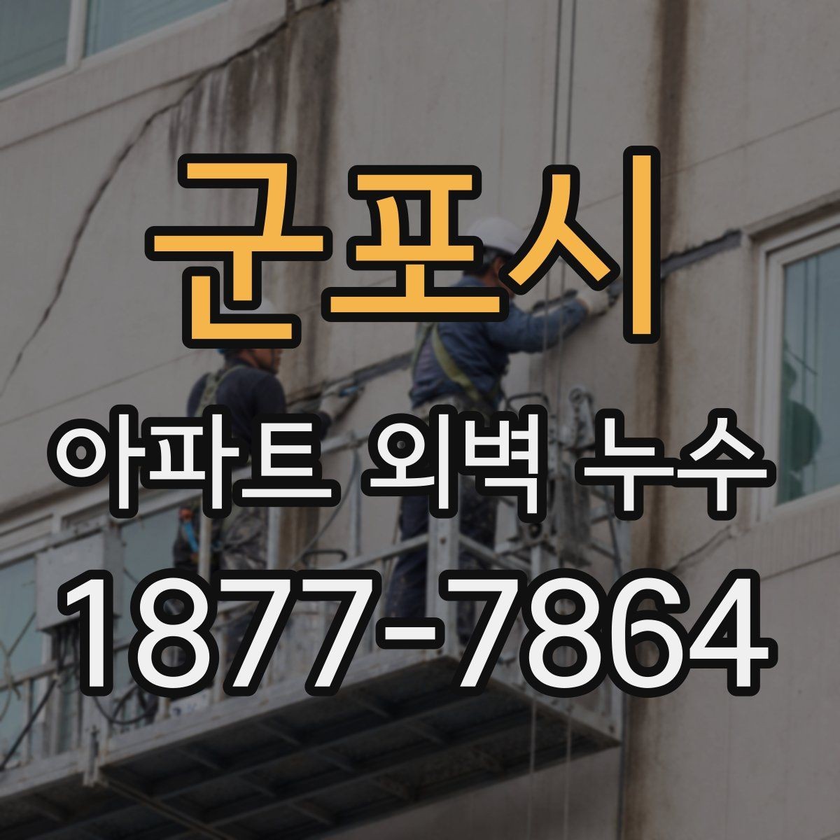 군포시 아파트 외벽 누수 발생 시 보험 체크해야 할 항목