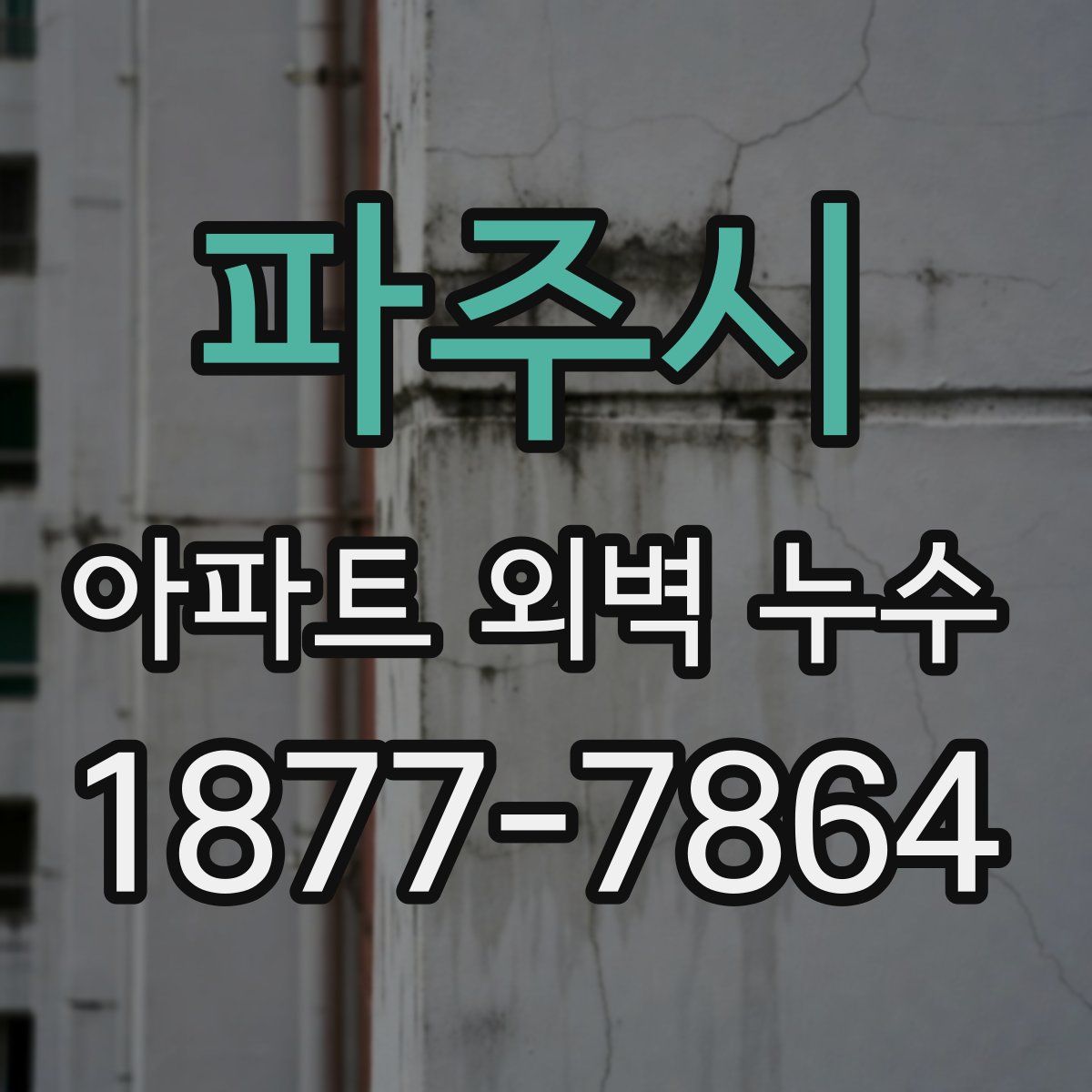 파주시 아파트 외벽 누수