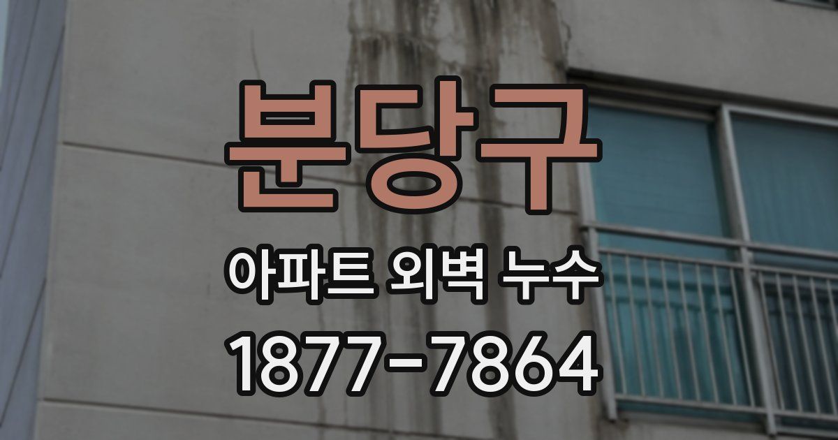 분당구 아파트 외벽 누수