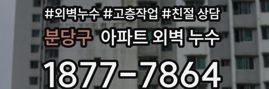 분당구 아파트 외벽 누수