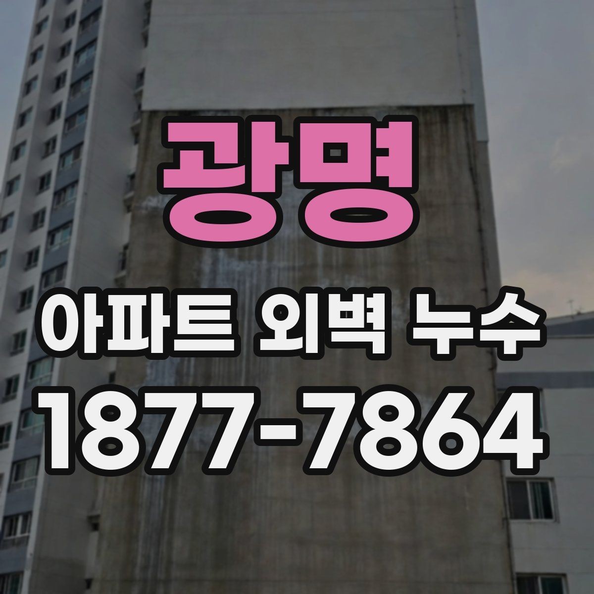 광명 아파트 외벽 누수 사례로 보는 공용부 점검