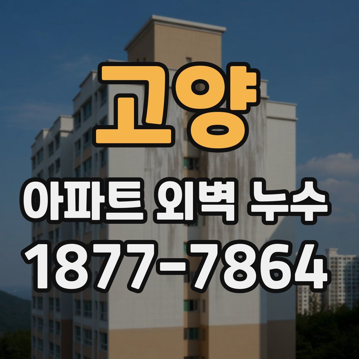 고양 아파트 외벽 누수