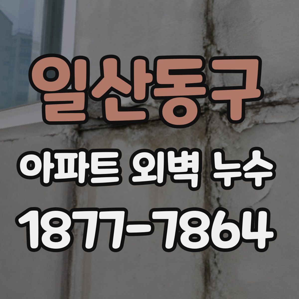 일산동구 아파트 외벽 누수