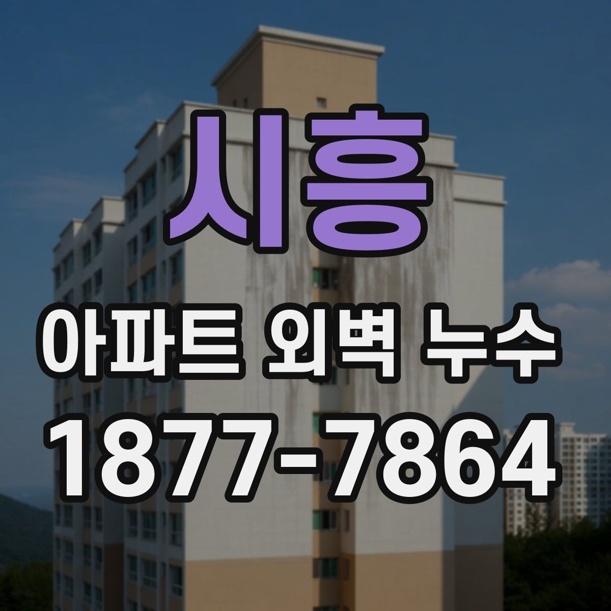 시흥 아파트 외벽 누수
