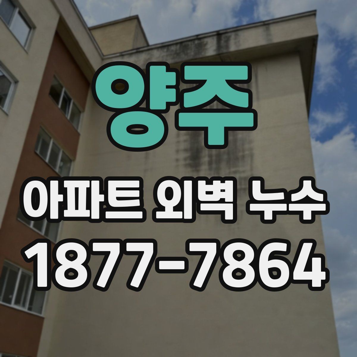 양주 아파트 외벽 누수 발생 위치별 점검 방법