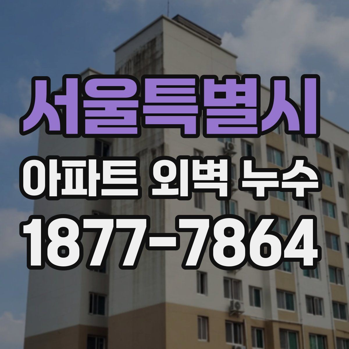 서울특별시 아파트 외벽 누수 비용 산정에 영향을 주는 요소
