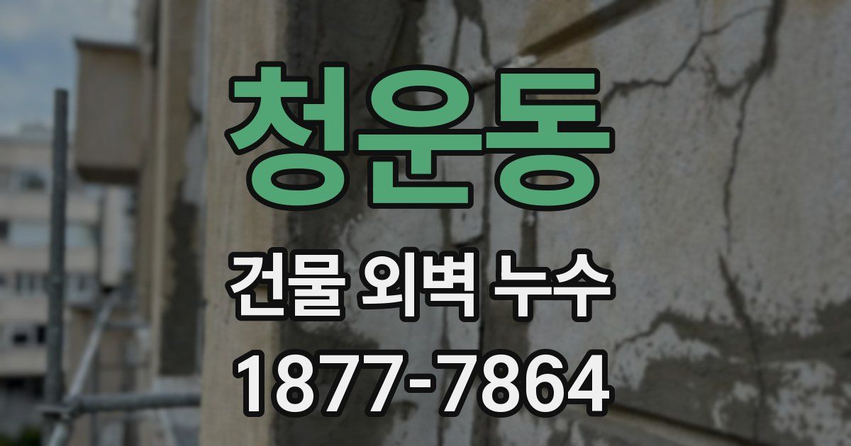 청운동 건물 외벽 누수