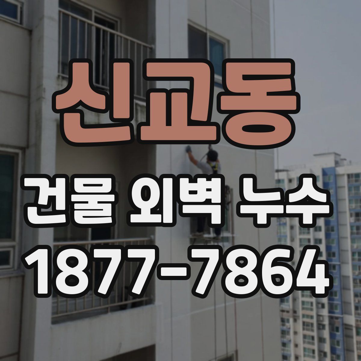 신교동 건물 외벽 누수