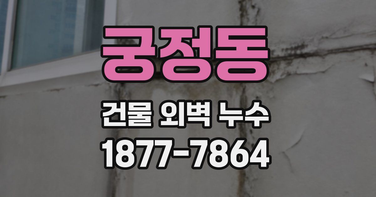 궁정동 건물 외벽 누수