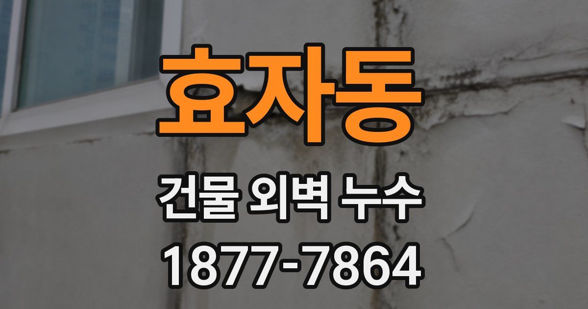 효자동 건물 외벽 누수