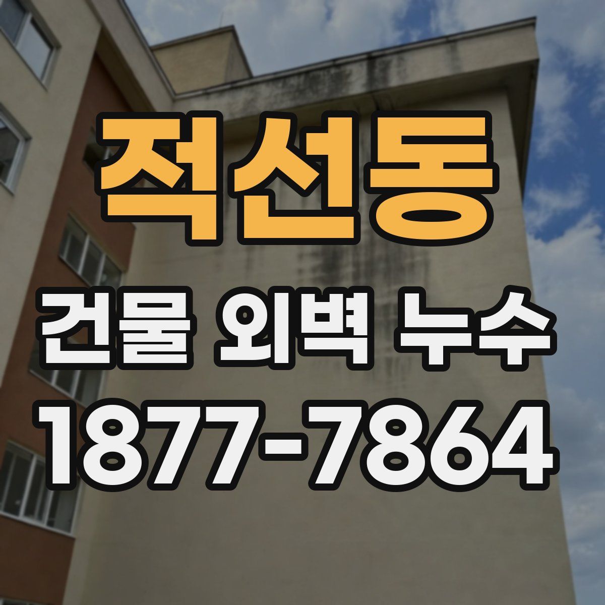적선동 건물 외벽 누수