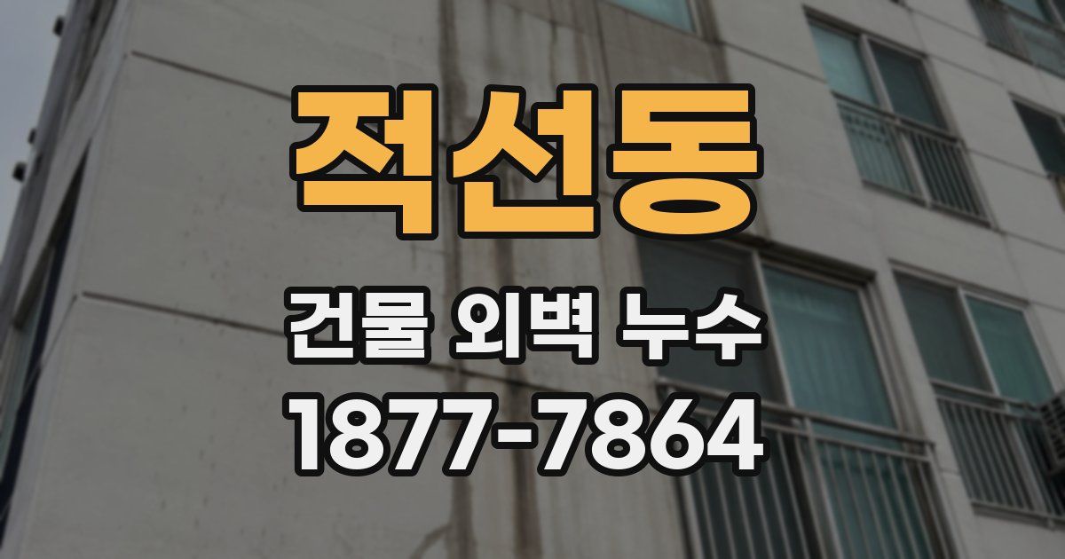 적선동 건물 외벽 누수