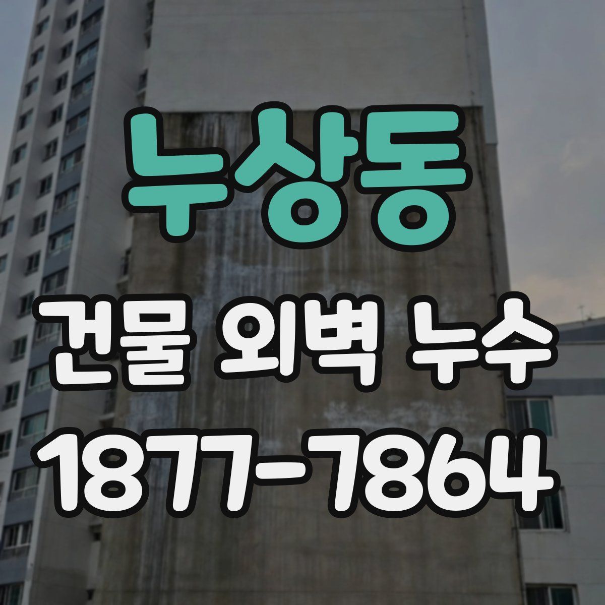 누상동 건물 외벽 누수