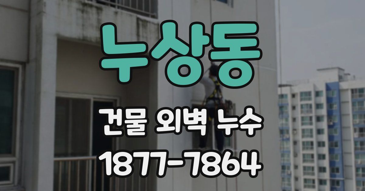 누상동 건물 외벽 누수
