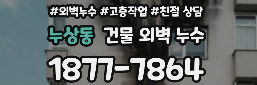 누상동 건물 외벽 누수