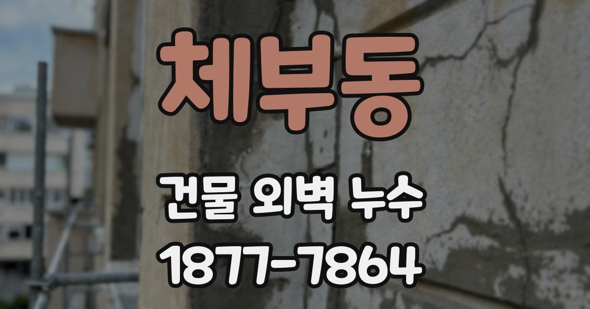 체부동 건물 외벽 누수