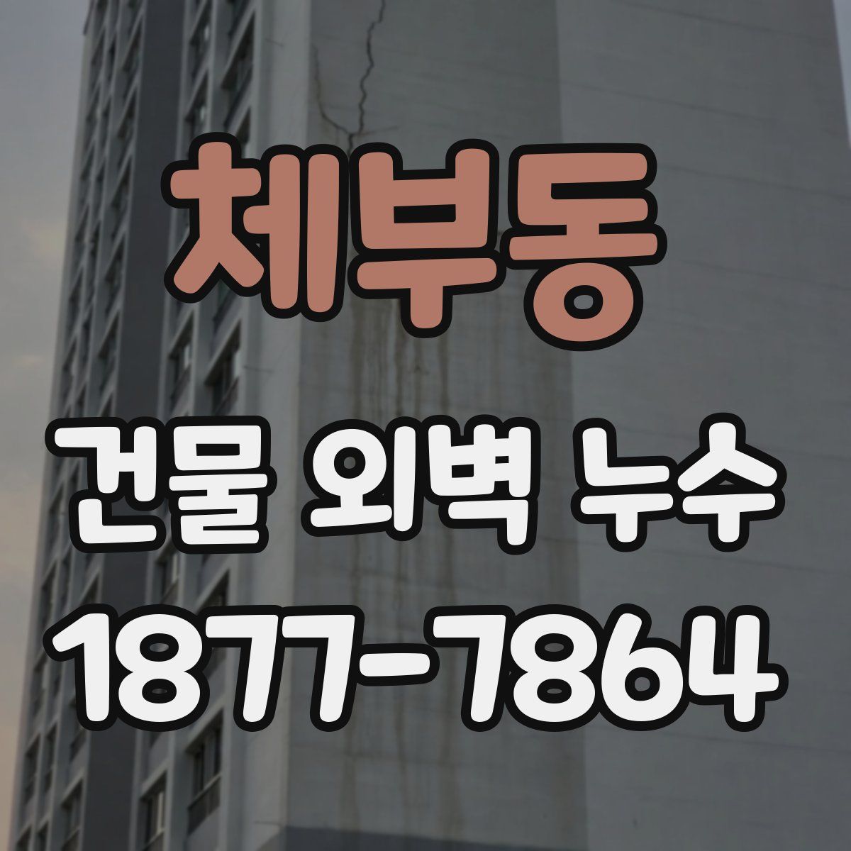 체부동 건물 외벽 누수