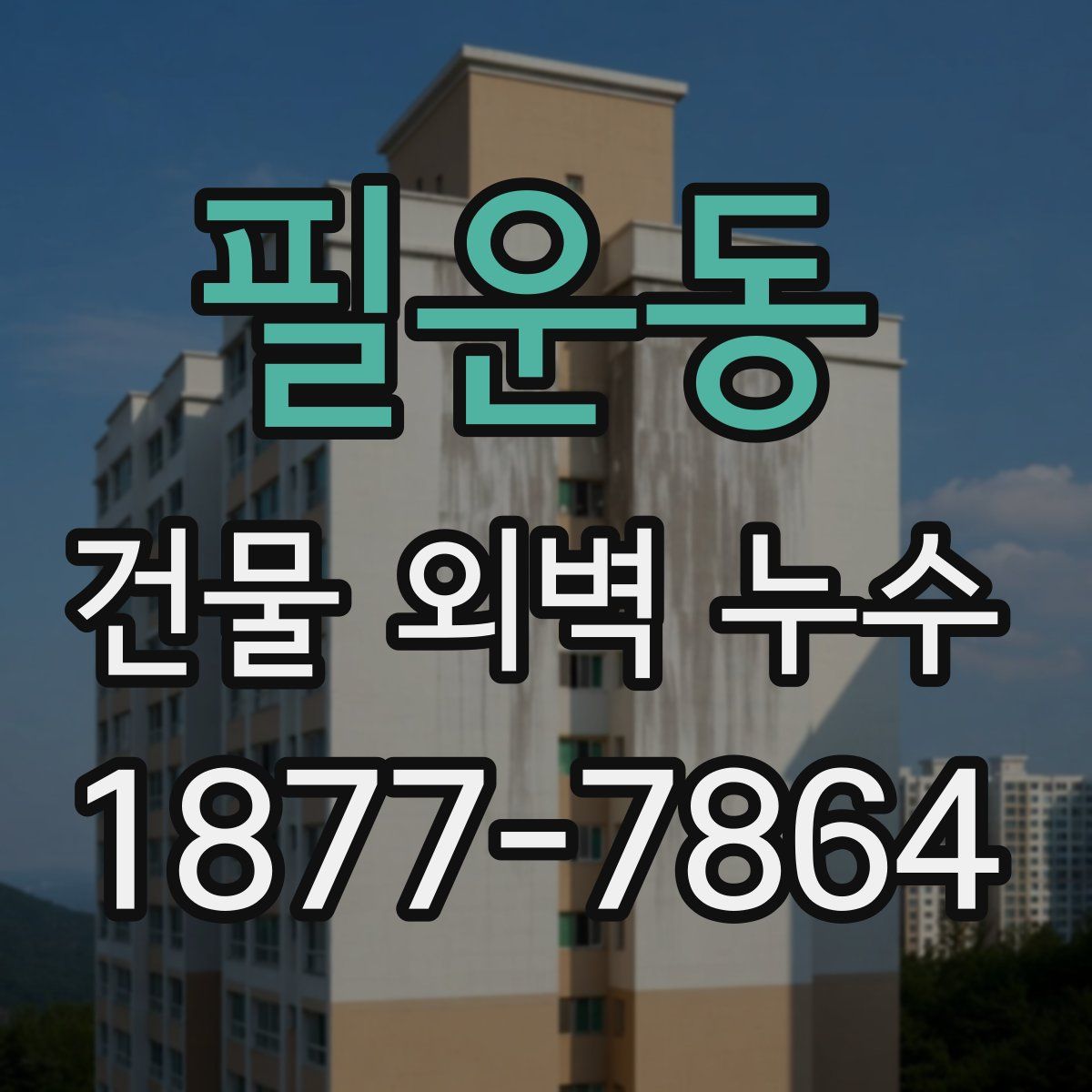 필운동 건물 외벽 누수
