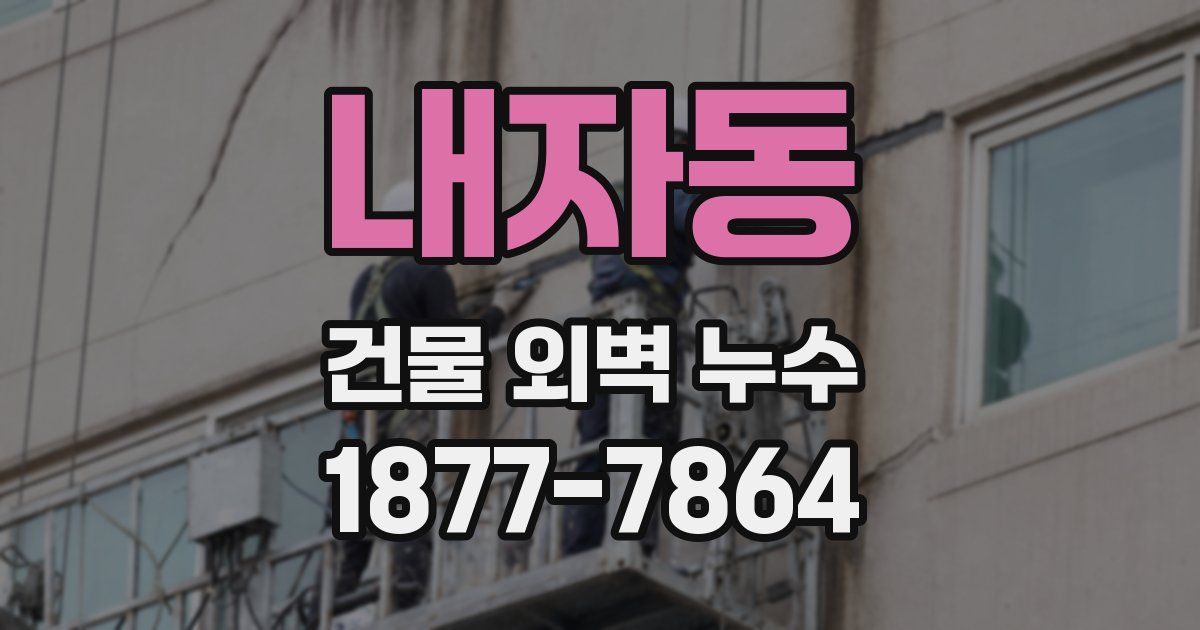 내자동 건물 외벽 누수