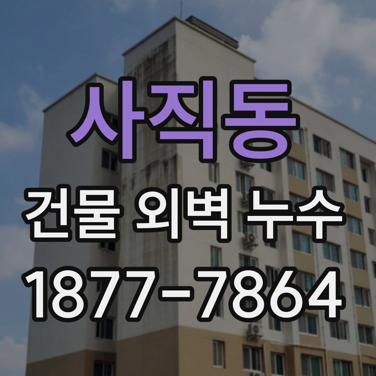 사직동 건물 외벽 누수