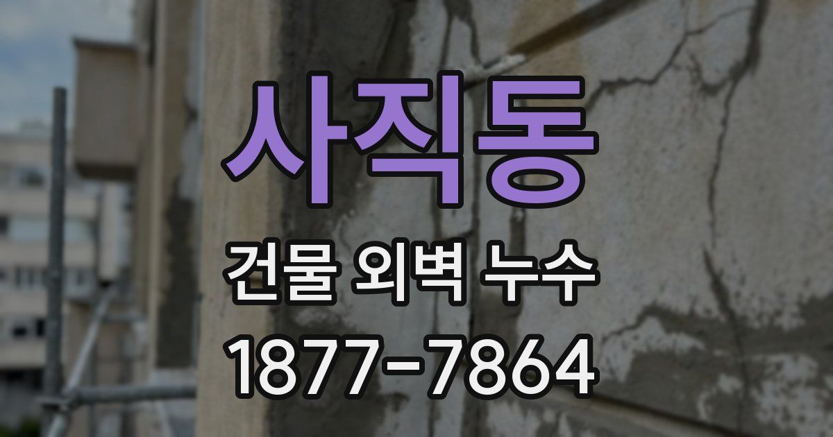 사직동 건물 외벽 누수