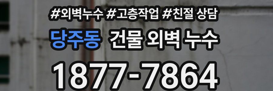 당주동 건물 외벽 누수