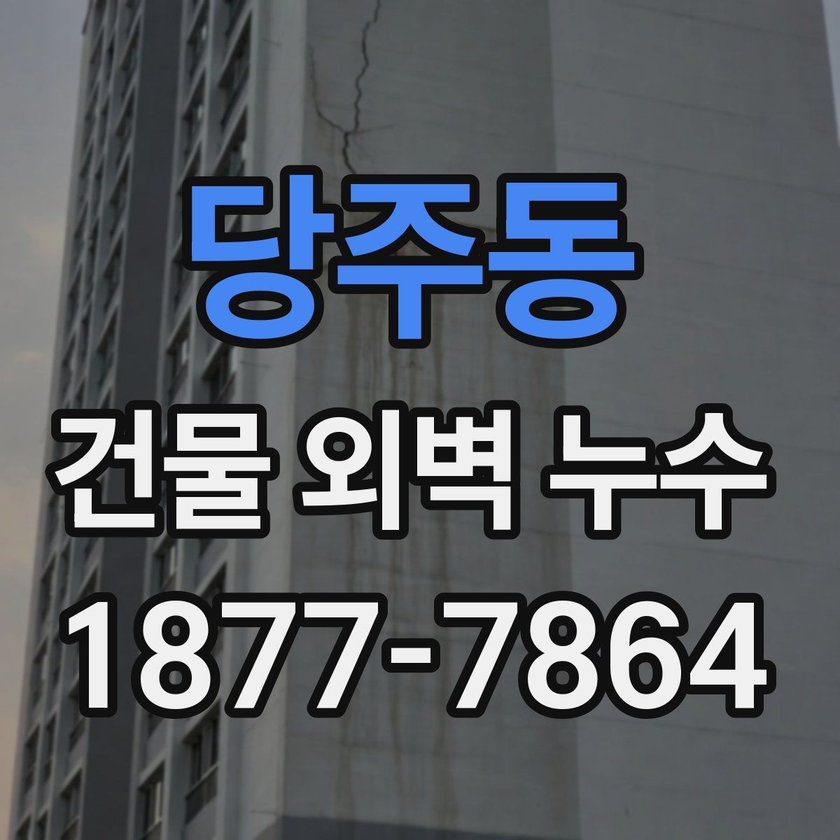 당주동 건물 외벽 누수