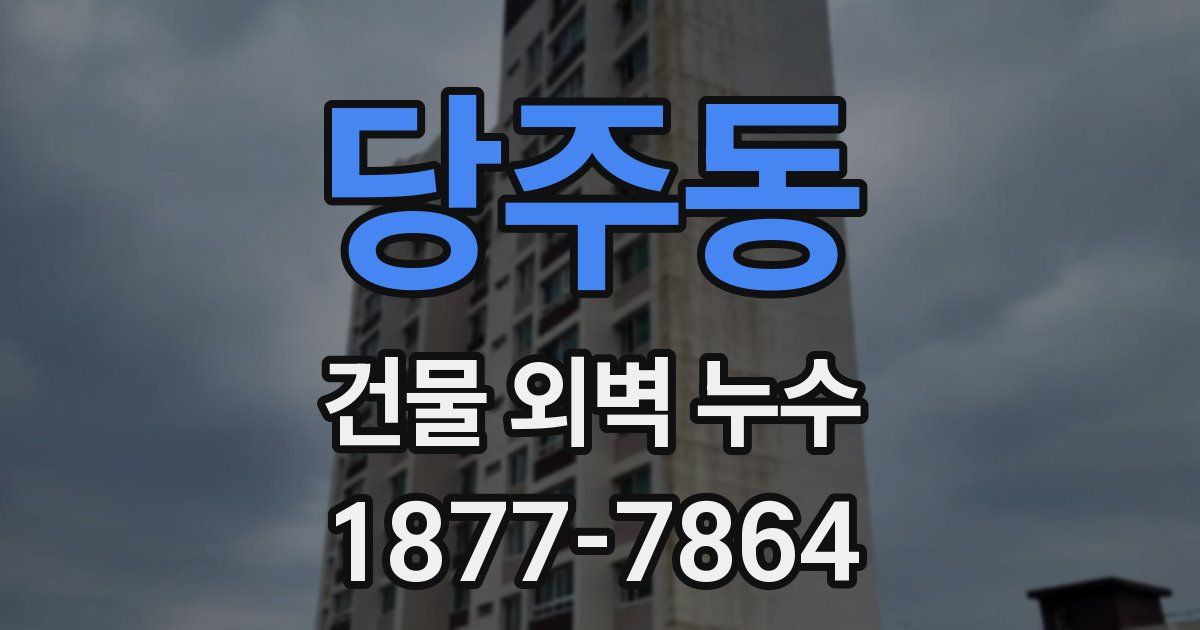 당주동 건물 외벽 누수