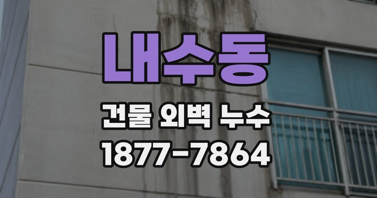 내수동 건물 외벽 누수