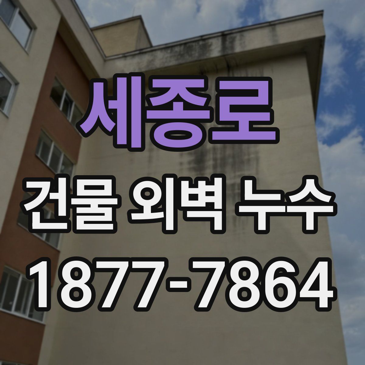 세종로 건물 외벽 누수
