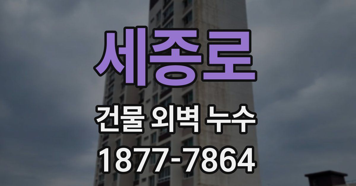 세종로 건물 외벽 누수