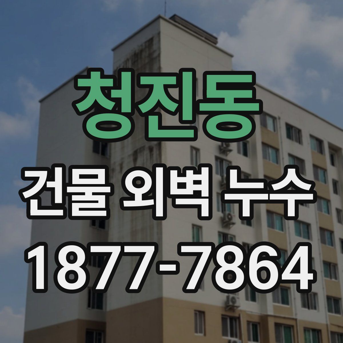청진동 건물 외벽 누수
