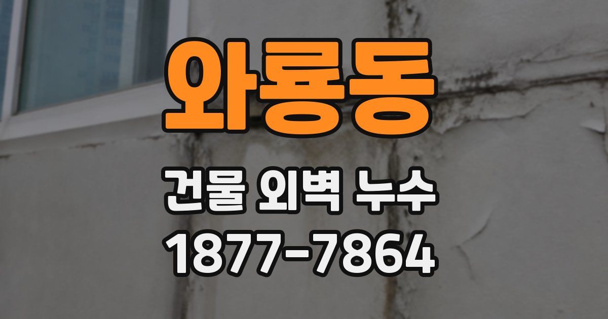 와룡동 건물 외벽 누수