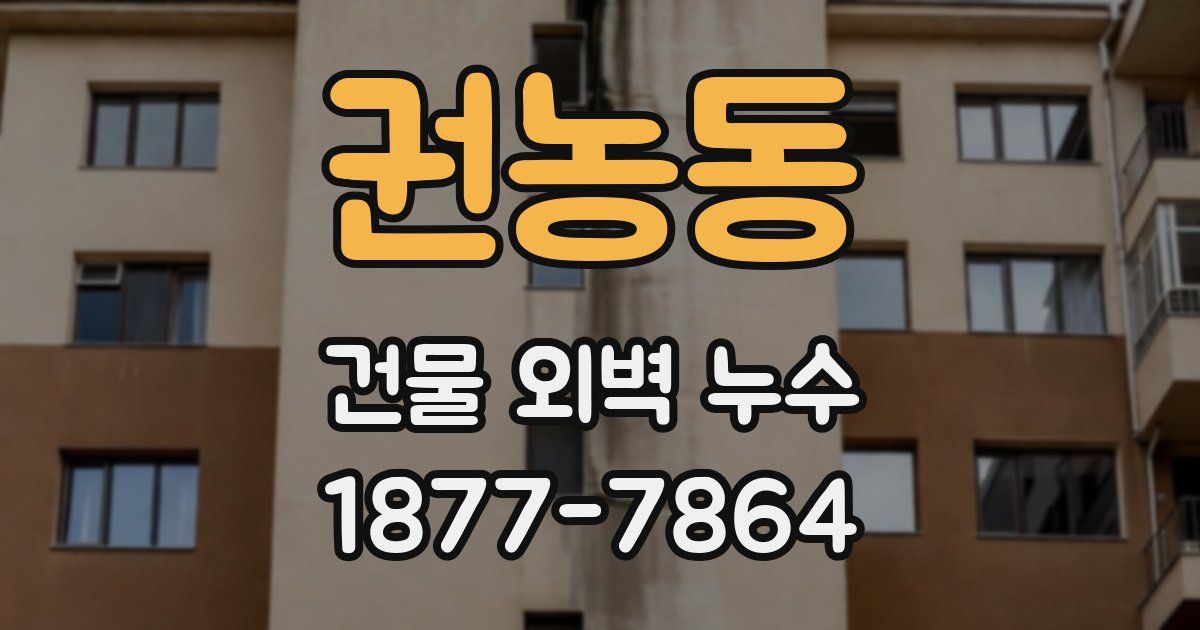 권농동 건물 외벽 누수