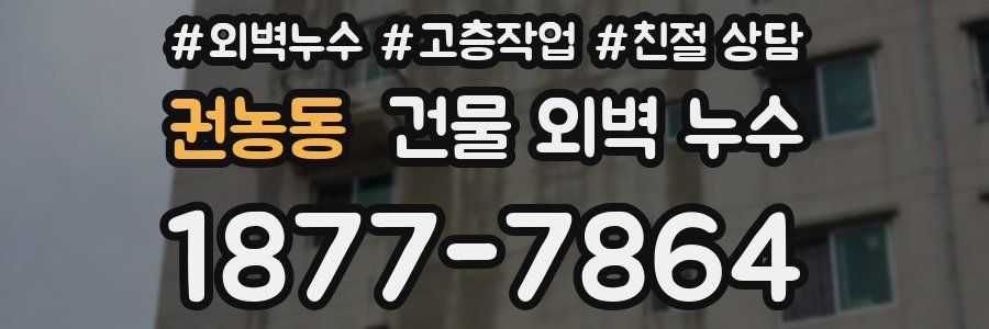 권농동 건물 외벽 누수