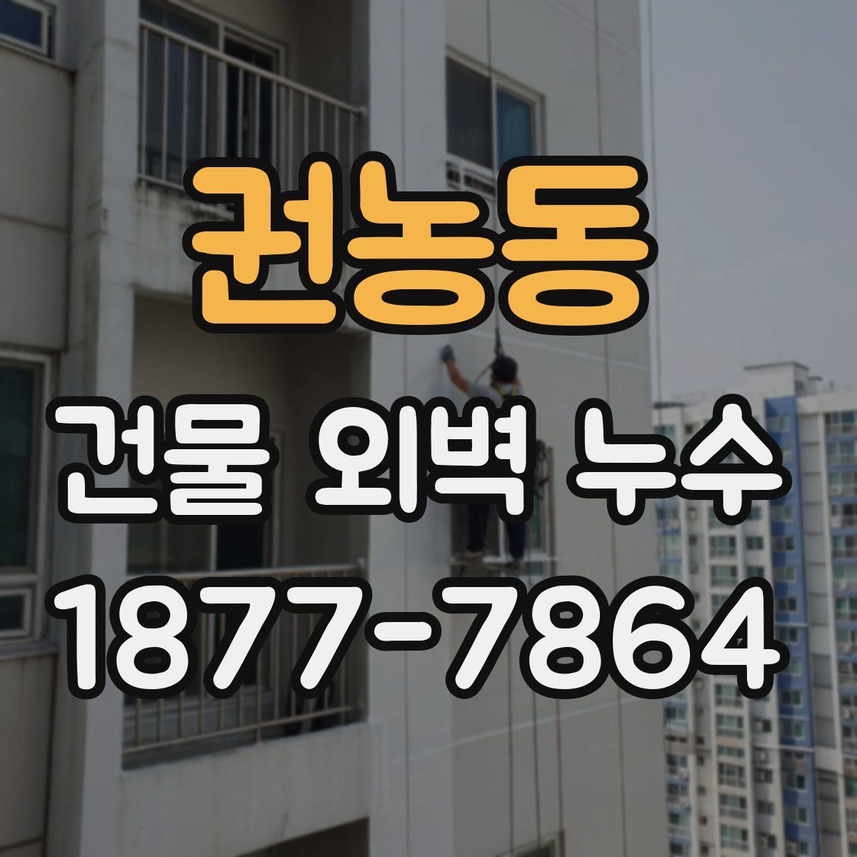 권농동 건물 외벽 누수