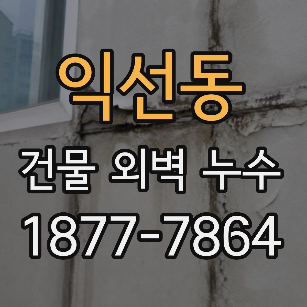 익선동 건물 외벽 누수 의심 부위의 특징