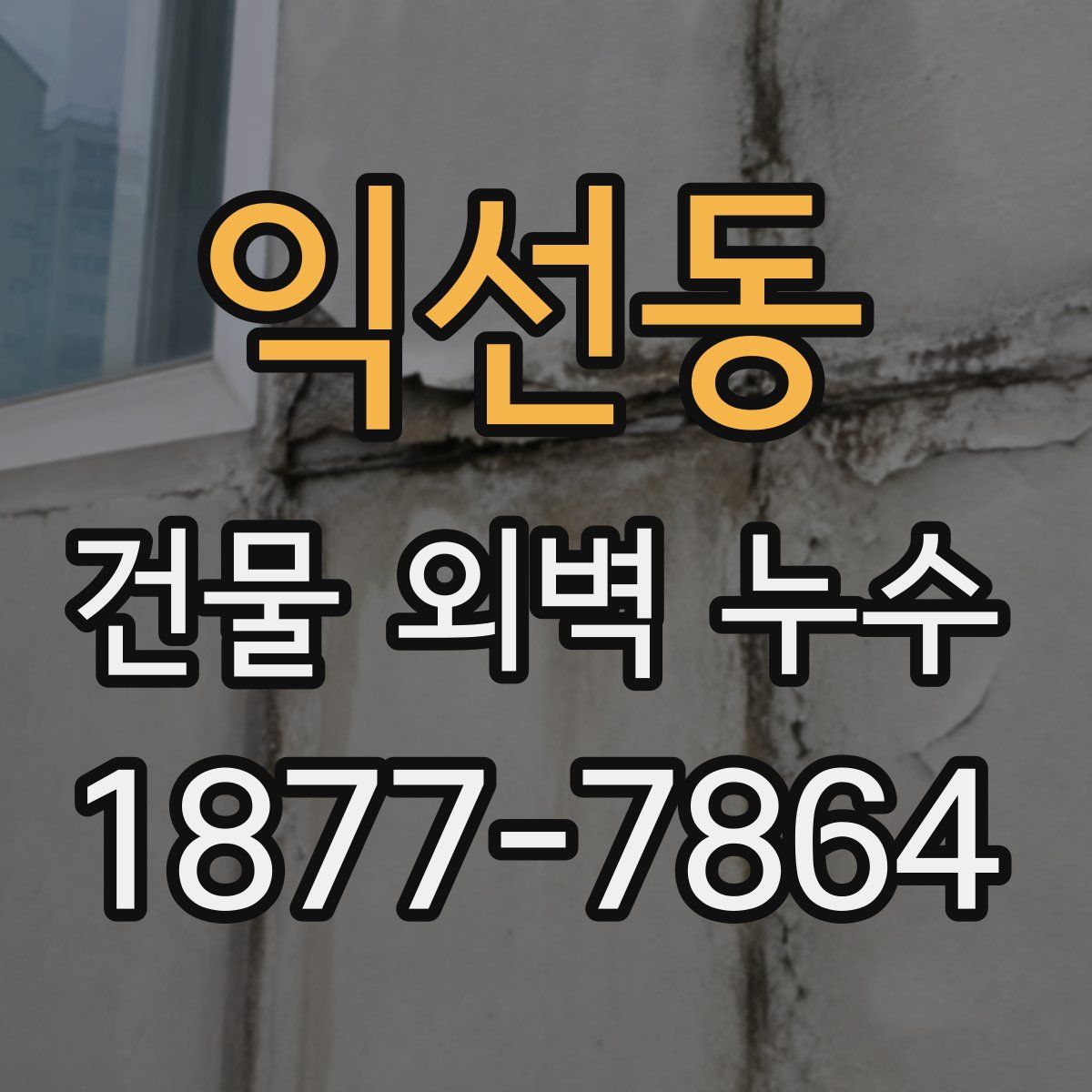익선동 건물 외벽 누수