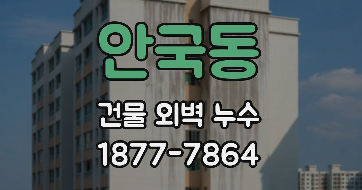 안국동 건물 외벽 누수