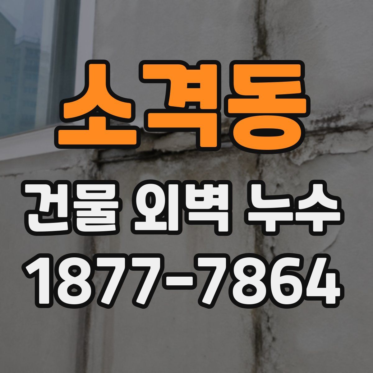 소격동 건물 외벽 누수