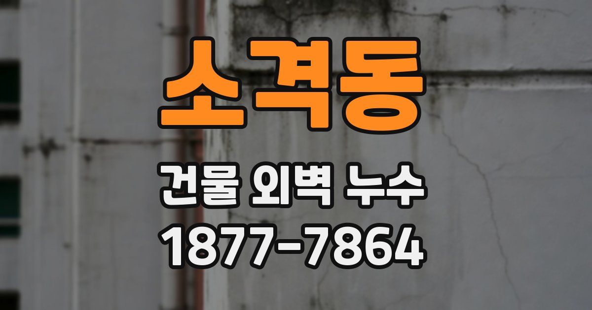 소격동 건물 외벽 누수
